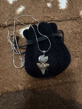 Handcrafted Ammonite and Shark Tooth Pendant Necklace - Silver Chain - Brown